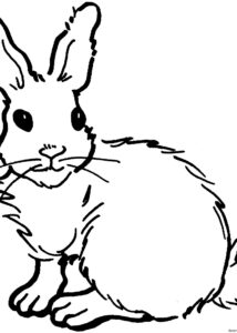 Desenhos de coelhos para pintar e imprimir 08